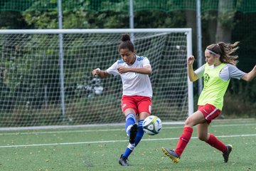 Bild 73 - C-Juniorinnen HSV - Walddoerfer : Ergebnis: 9:1